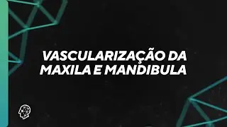 Vascularization of the maxilla and mandible