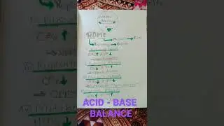 ACID -BASE BALANCE(ROME METHOD)@lilamahato810