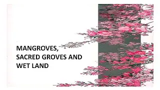 Mangroves, Sacred Groves & Wetland