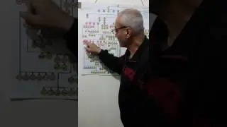 شجرة فخذ العبدالله بطن العيسى عشيرة نجم القضاة بني صخر العرب العدنانية فلسطين صفورية