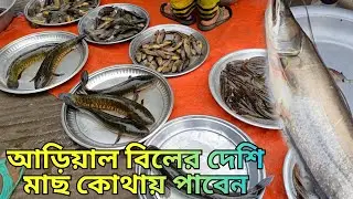 আড়িয়াল বিলের দেশি মাছ ঢাকার ভিতরে কোথায় পাবেন#fish market#@Neel.Akash.2 