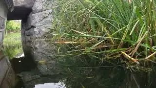 Jungle river trip