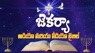 Zekarya || Zechariah || Telugu Audio Bible _ జెకర్యా
