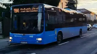 LIONS City Man spotting+utazás 