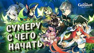 Сумеру / С чего начинать исследование Дендро региона - Genshin impact