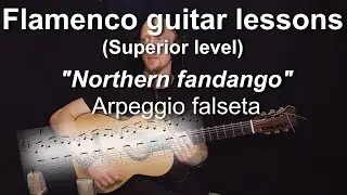 Flamenco guitar lessons - Superior level - 