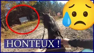 UN PEU PLUS ET JE MANGEAIS LE SABLE ! - On a trouvé des trucs honteux !
