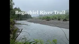 Bogachiel River Trail