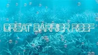 🇦🇺 Great Barrier Reef Dive | Moore Reef | Queensland | 4K [2021]