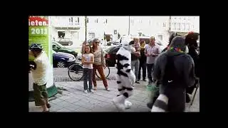 Eurofurence Magdeburg 2013 Suitwalk #EF19 (LQ)