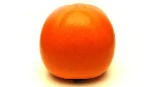 Persimmon - Time Lapse 7 months.