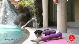 Yoga Asana - Kurmasana, Tortoise Pose