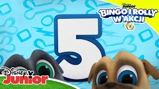 🐾5 dowodów przyjaźni | Bingo i Rolly w akcji | Disney Junior Polska