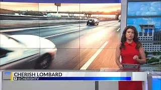 Florida's new license plate law: What drivers need to know