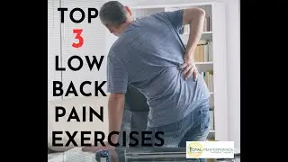 Top 3 low back pain exercises | Total Performance Physical Therapy | 215.997.9898