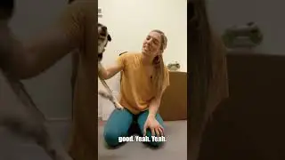 AVCA Certified Animal Chiropractor