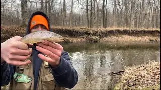 January Coldwater River Trout Fishing