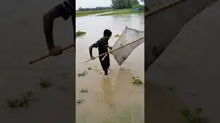 wow amazing fishing video #shorts #village #fishinglife #video