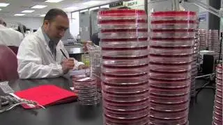 in-video: LifeLabs