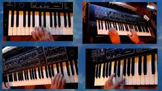 Prophetbluesd - PROPHET 600 - BlueDid