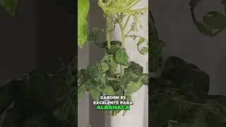 Jardiner&iacute;a en Casa: Review Sincera del Sistema Garden #shorts