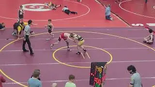 Rocky v Leland Graham, Rocky pin