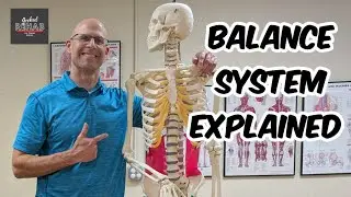 The 3 Systems That Keep You Upright: Dr Monte Explains 👀🤯#balance #vestibular #proprioception #fyp