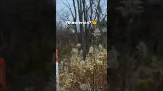 Ghost train 😳🎃 #trains #ghost #ghosttrain #railway #train