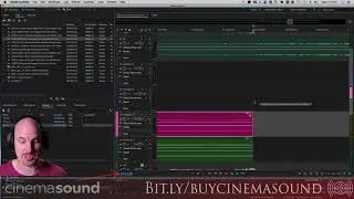 Sound Effects Ambiences w Boom European Room and Urban USA