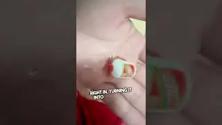 Этот крошечный рак-отшельник только что обрел самый милый новый дом на свете