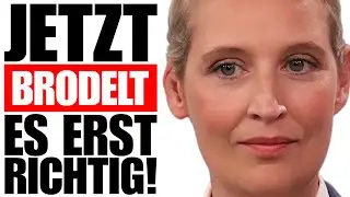 Gr&uuml;ne Kn&uuml;pfen Koalition An AfD Verbot❗️