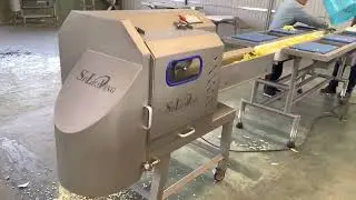 Belt cutting machine for vegetables