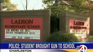 Ladson student brings pellet gun to school