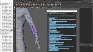 Maya Automatic Creation of Helper Joints with Skinning Decomposition and RBF Part 2