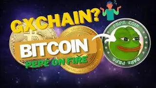 PEPE Hijau lagi!! Bitcoin Meroket 🚀 GXChain Ngepran 😂