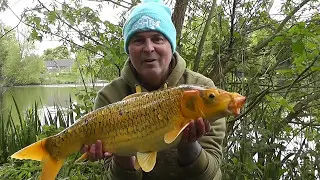 Carp fishing The Secret Pool