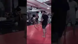 Francis Ngannou VS Michael Jay White