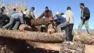 تملالت ضد تمزموط    Tamallalte  tamzmoute