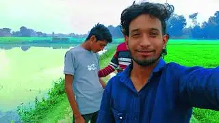 Video Real support like 