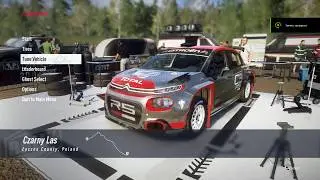 Dirt Rally 2.0 Citroen R5 Poland setup