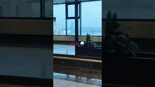 Rain in Lahore airport:#rainyday #trending
