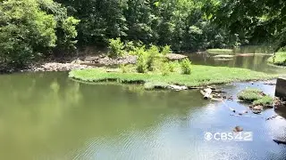 The big Cahaba cleanup