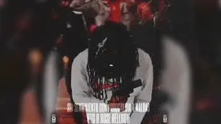 FEAR OF US - @BTGDRoseHellboii.LLC4 (Official Music Visualizer) | S.S.A.M #FREEGOTTI #FREECHAMOLA🐏