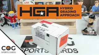 Слепое раскрытие 10 карточек HGA - Джордан, Джерри Райс, Рипкен, Бо, Фавр, Реджи