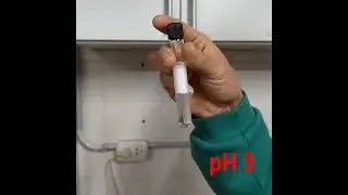 A pH-responsive Foam