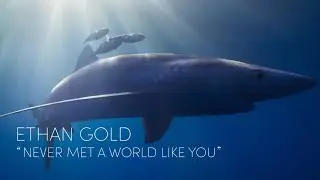 Ethan Gold - Never Met a World Like You