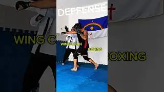 WING CHUN 🆚 BOXING #boxing #wingchun #kungfu #mma #karate #kravmaga #selfdefense