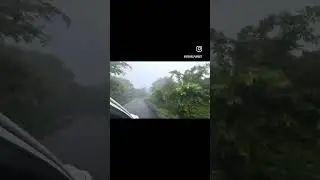 A drive through dense fog #fog #rain #drive #hillstation