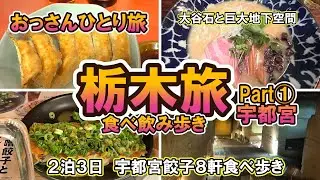 【おっさん　ひとり旅】関東　栃木県①　宇都宮市　人生初宇都宮　餃子８軒飲み歩き　大谷資料館　老舗庄助　みんみん　2泊3日　2024年12月上旬【Vlog】