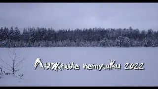 Лыжные петушки